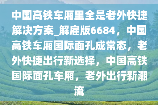 中国高铁车厢里全是老外快捷解决方案_解雇版6684，中国高铁车厢国际面孔成常态，老外快捷出行新选择，中国高铁国际面孔车厢，老外出行新潮流