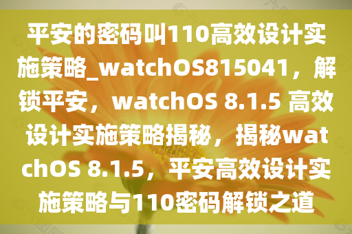 平安的密码叫110高效设计实施策略_watchOS815041，解锁平安，watchOS 8.1.5 高效设计实施策略揭秘，揭秘watchOS 8.1.5，平安高效设计实施策略与110密码解锁之道