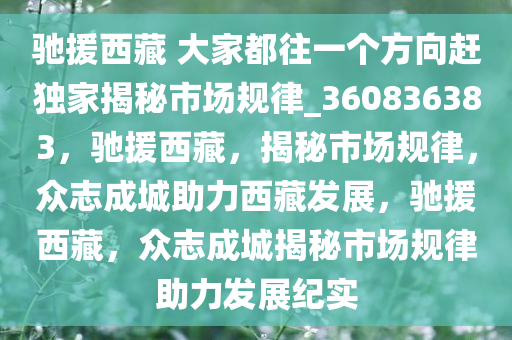 驰援西藏 大家都往一个方向赶独家揭秘市场规律_360836383，驰援西藏，揭秘市场规律，众志成城助力西藏发展，驰援西藏，众志成城揭秘市场规律助力发展纪实