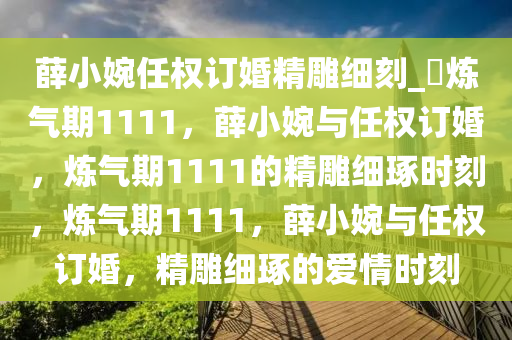 薛小婉任权订婚精雕细刻_?炼气期1111，薛小婉与任权订婚，炼气期1111的精雕细琢时刻，炼气期1111，薛小婉与任权订婚，精雕细琢的爱情时刻