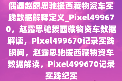 偶遇赵露思驰援西藏物资车实践数据解释定义_Pixel499670，赵露思驰援西藏物资车数据解读，Pixel499670记录实践瞬间，赵露思驰援西藏物资车数据解读，Pixel499670记录实践纪实