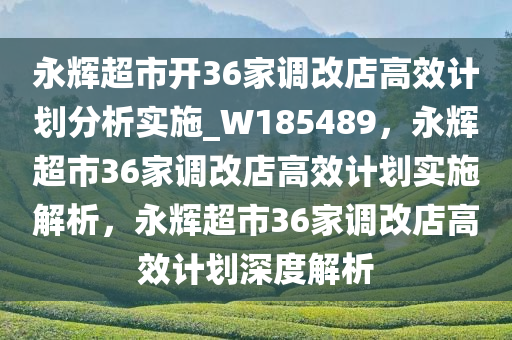 永辉超市开36家调改店高效计划分析实施_W185489，永辉超市36家调改店高效计划实施解析，永辉超市36家调改店高效计划深度解析