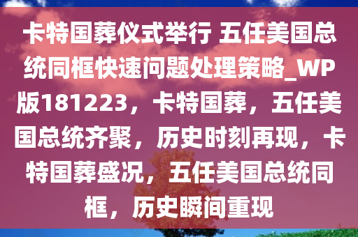 卡特国葬仪式举行 五任美国总统同框快速问题处理策略_WP版181223，卡特国葬，五任美国总统齐聚，历史时刻再现，卡特国葬盛况，五任美国总统同框，历史瞬间重现