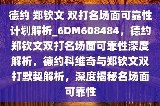 德约 郑钦文 双打名场面可靠性计划解析_6DM608484，德约郑钦文双打名场面可靠性深度解析，德约科维奇与郑钦文双打默契解析，深度揭秘名场面可靠性