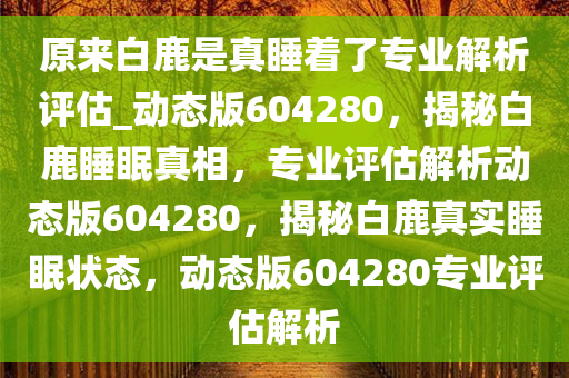 原来白鹿是真睡着了专业解析评估_动态版604280，揭秘白鹿睡眠真相，专业评估解析动态版604280，揭秘白鹿真实睡眠状态，动态版604280专业评估解析