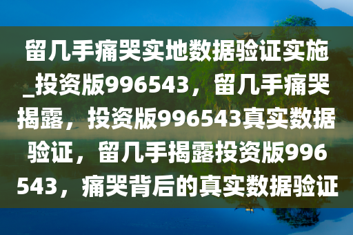 留几手痛哭实地数据验证实施_投资版996543，留几手痛哭揭露，投资版996543真实数据验证，留几手揭露投资版996543，痛哭背后的真实数据验证