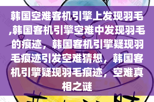 韩国空难客机引擎上发现羽毛,韩国客机引擎空难中发现羽毛的痕迹，韩国客机引擎疑现羽毛痕迹引发空难猜想，韩国客机引擎疑现羽毛痕迹，空难真相之谜