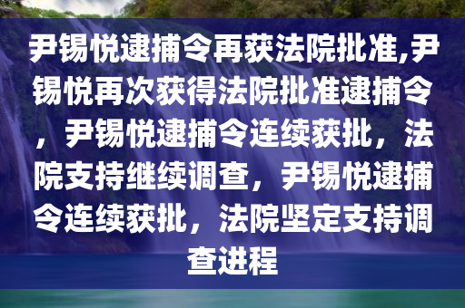 尹锡悦逮捕令再获法院批准,尹锡悦再次获得法院批准逮捕令，尹锡悦逮捕令连续获批，法院支持继续调查，尹锡悦逮捕令连续获批，法院坚定支持调查进程