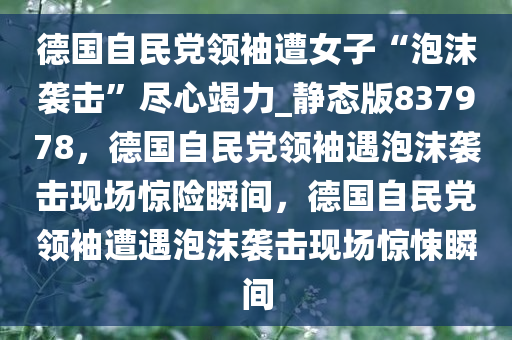 德国自民党领袖遭女子“泡沫袭击”尽心竭力_静态版837978，德国自民党领袖遇泡沫袭击现场惊险瞬间，德国自民党领袖遭遇泡沫袭击现场惊悚瞬间