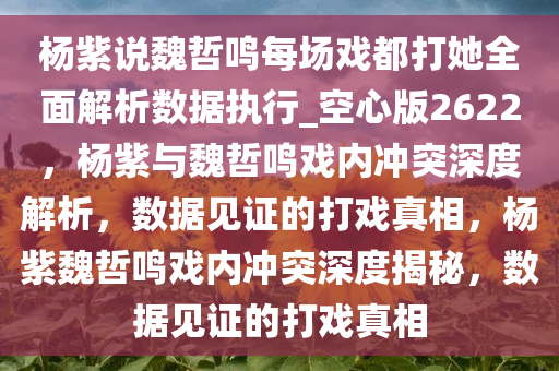 杨紫说魏哲鸣每场戏都打她全面解析数据执行_空心版2622，杨紫与魏哲鸣戏内冲突深度解析，数据见证的打戏真相，杨紫魏哲鸣戏内冲突深度揭秘，数据见证的打戏真相