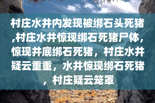 村庄水井内发现被绑石头死猪,村庄水井惊现绑石死猪尸体，惊现井底绑石死猪，村庄水井疑云重重，水井惊现绑石死猪，村庄疑云笼罩