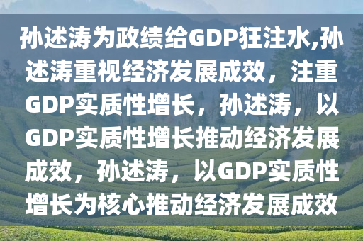 孙述涛为政绩给GDP狂注水,孙述涛重视经济发展成效，注重GDP实质性增长，孙述涛，以GDP实质性增长推动经济发展成效，孙述涛，以GDP实质性增长为核心推动经济发展成效