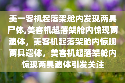 美一客机起落架舱内发现两具尸体,美客机起落架舱内惊现两遗体，美客机起落架舱内惊现两具遗体，美客机起落架舱内惊现两具遗体引发关注