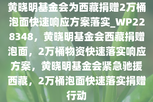 黄晓明基金会为西藏捐赠2万桶泡面快速响应方案落实_WP228348，黄晓明基金会西藏捐赠泡面，2万桶物资快速落实响应方案，黄晓明基金会紧急驰援西藏，2万桶泡面快速落实捐赠行动