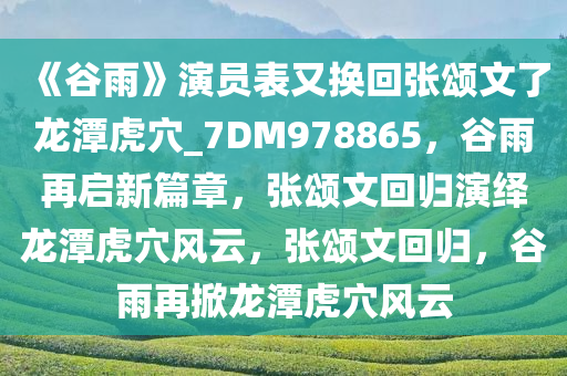 《谷雨》演员表又换回张颂文了龙潭虎穴_7DM978865，谷雨再启新篇章，张颂文回归演绎龙潭虎穴风云，张颂文回归，谷雨再掀龙潭虎穴风云