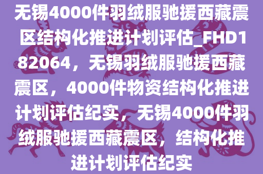 无锡4000件羽绒服驰援西藏震区结构化推进计划评估_FHD182064，无锡羽绒服驰援西藏震区，4000件物资结构化推进计划评估纪实，无锡4000件羽绒服驰援西藏震区，结构化推进计划评估纪实