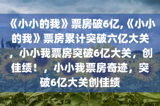 《小小的我》票房破6亿,《小小的我》票房累计突破六亿大关，小小我票房突破6亿大关，创佳绩！，小小我票房奇迹，突破6亿大关创佳绩