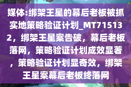 媒体:绑架王星的幕后老板被抓实地策略验证计划_MT715132，绑架王星案告破，幕后老板落网，策略验证计划成效显著，策略验证计划显奇效，绑架王星案幕后老板终落网