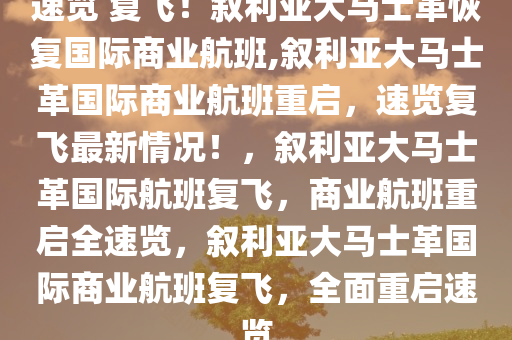 速览 复飞！叙利亚大马士革恢复国际商业航班,叙利亚大马士革国际商业航班重启，速览复飞最新情况！，叙利亚大马士革国际航班复飞，商业航班重启全速览，叙利亚大马士革国际商业航班复飞，全面重启速览