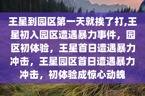 王星到园区第一天就挨了打,王星初入园区遭遇暴力事件，园区初体验，王星首日遭遇暴力冲击，王星园区首日遭遇暴力冲击，初体验成惊心动魄