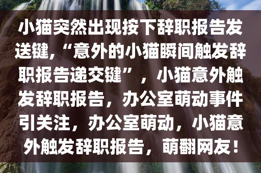 小猫突然出现按下辞职报告发送键,“意外的小猫瞬间触发辞职报告递交键”，小猫意外触发辞职报告，办公室萌动事件引关注，办公室萌动，小猫意外触发辞职报告，萌翻网友！