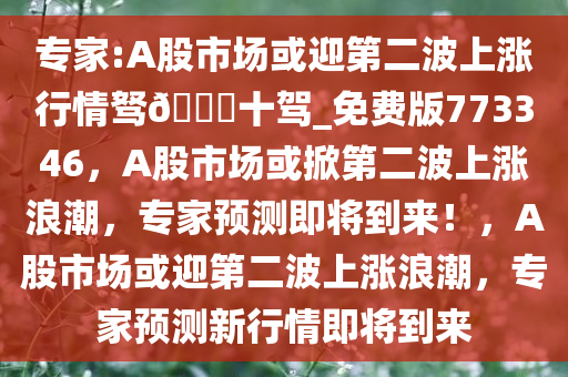 专家:A股市场或迎第二波上涨行情驽??十驾_免费版773346，A股市场或掀第二波上涨浪潮，专家预测即将到来！，A股市场或迎第二波上涨浪潮，专家预测新行情即将到来