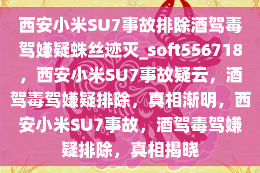 西安小米SU7事故排除酒驾毒驾嫌疑蛛丝迹灭_soft556718，西安小米SU7事故疑云，酒驾毒驾嫌疑排除，真相渐明，西安小米SU7事故，酒驾毒驾嫌疑排除，真相揭晓