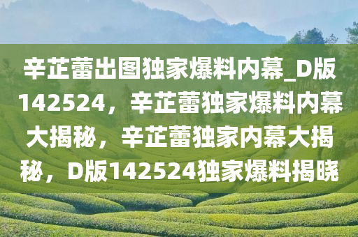 辛芷蕾出图独家爆料内幕_D版142524，辛芷蕾独家爆料内幕大揭秘，辛芷蕾独家内幕大揭秘，D版142524独家爆料揭晓