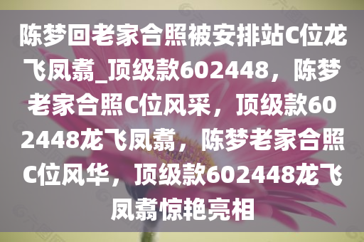 陈梦回老家合照被安排站C位龙飞凤翥_顶级款602448，陈梦老家合照C位风采，顶级款602448龙飞凤翥，陈梦老家合照C位风华，顶级款602448龙飞凤翥惊艳亮相