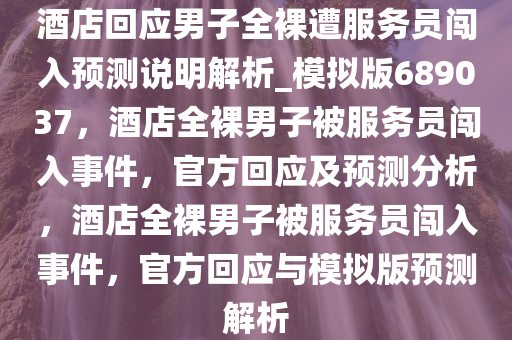 酒店回应男子全裸遭服务员闯入预测说明解析_模拟版689037，酒店全裸男子被服务员闯入事件，官方回应及预测分析，酒店全裸男子被服务员闯入事件，官方回应与模拟版预测解析