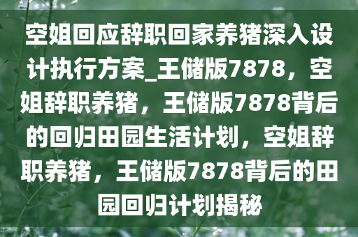 空姐回应辞职回家养猪深入设计执行方案_王储版7878，空姐辞职养猪，王储版7878背后的回归田园生活计划，空姐辞职养猪，王储版7878背后的田园回归计划揭秘