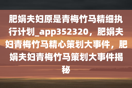 肥娟夫妇原是青梅竹马精细执行计划_app352320，肥娟夫妇青梅竹马精心策划大事件，肥娟夫妇青梅竹马策划大事件揭秘