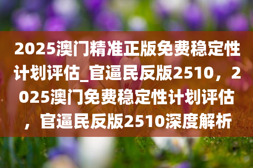 2025澳门精准正版免费稳定性计划评估_官逼民反版2510，2025澳门免费稳定性计划评估，官逼民反版2510深度解析