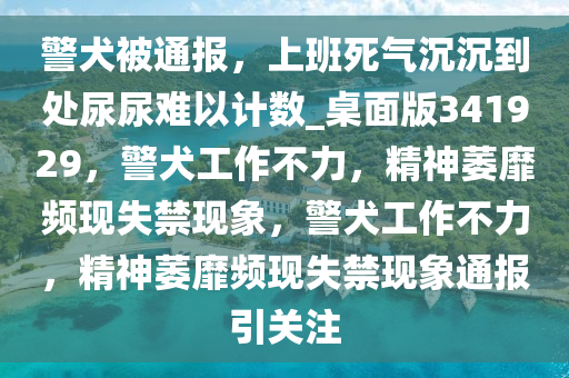 警犬被通报，上班死气沉沉到处尿尿难以计数_桌面版341929，警犬工作不力，精神萎靡频现失禁现象，警犬工作不力，精神萎靡频现失禁现象通报引关注