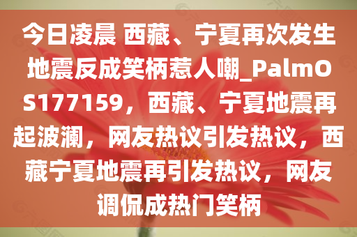 今日凌晨 西藏、宁夏再次发生地震反成笑柄惹人嘲_PalmOS177159，西藏、宁夏地震再起波澜，网友热议引发热议，西藏宁夏地震再引发热议，网友调侃成热门笑柄