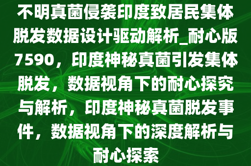 不明真菌侵袭印度致居民集体脱发数据设计驱动解析_耐心版7590，印度神秘真菌引发集体脱发，数据视角下的耐心探究与解析，印度神秘真菌脱发事件，数据视角下的深度解析与耐心探索