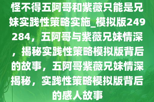 怪不得五阿哥和紫薇只能是兄妹实践性策略实施_模拟版249284，五阿哥与紫薇兄妹情深，揭秘实践性策略模拟版背后的故事，五阿哥紫薇兄妹情深揭秘，实践性策略模拟版背后的感人故事