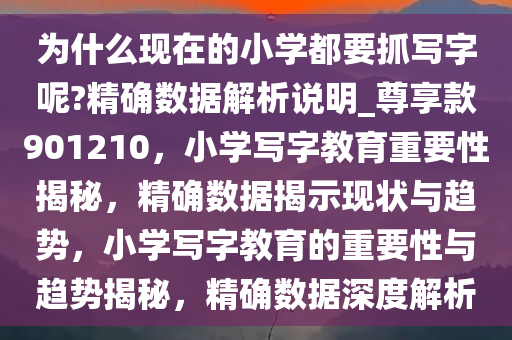 为什么现在的小学都要抓写字呢?精确数据解析说明_尊享款901210，小学写字教育重要性揭秘，精确数据揭示现状与趋势，小学写字教育的重要性与趋势揭秘，精确数据深度解析