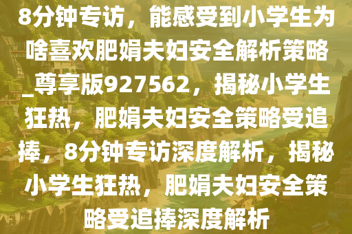 8分钟专访，能感受到小学生为啥喜欢肥娟夫妇安全解析策略_尊享版927562，揭秘小学生狂热，肥娟夫妇安全策略受追捧，8分钟专访深度解析，揭秘小学生狂热，肥娟夫妇安全策略受追捧深度解析