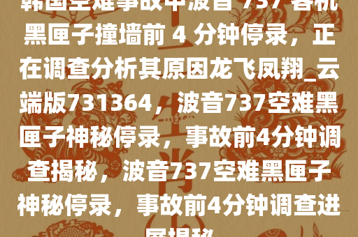 韩国空难事故中波音 737 客机黑匣子撞墙前 4 分钟停录，正在调查分析其原因龙飞凤翔_云端版731364，波音737空难黑匣子神秘停录，事故前4分钟调查揭秘，波音737空难黑匣子神秘停录，事故前4分钟调查进展揭秘