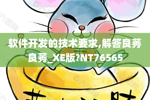 软件开发的技术要求,解答良莠良莠_XE版?NT76565