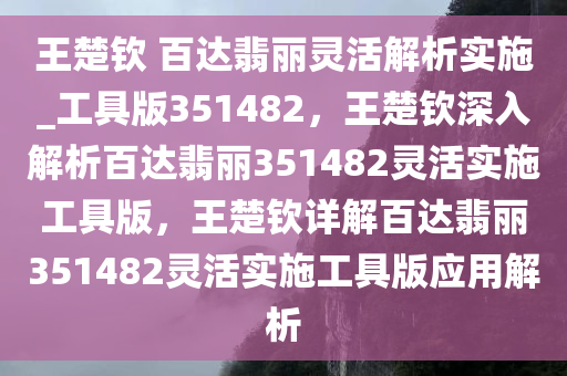 王楚钦 百达翡丽灵活解析实施_工具版351482，王楚钦深入解析百达翡丽351482灵活实施工具版，王楚钦详解百达翡丽351482灵活实施工具版应用解析