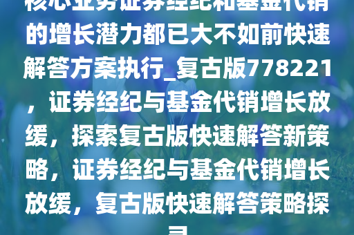 核心业务证券经纪和基金代销的增长潜力都已大不如前快速解答方案执行_复古版778221，证券经纪与基金代销增长放缓，探索复古版快速解答新策略，证券经纪与基金代销增长放缓，复古版快速解答策略探寻