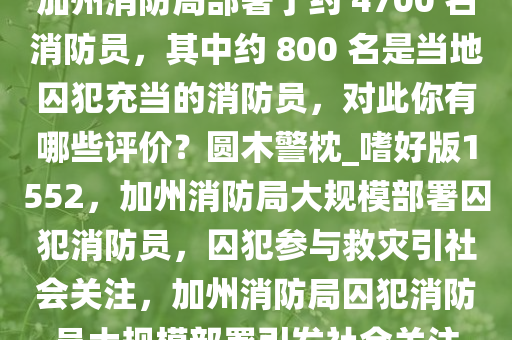 加州消防局部署了约 4700 名消防员，其中约 800 名是当地囚犯充当的消防员，对此你有哪些评价？圆木警枕_嗜好版1552，加州消防局大规模部署囚犯消防员，囚犯参与救灾引社会关注，加州消防局囚犯消防员大规模部署引发社会关注