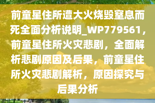 前童星住所遭大火烧毁窒息而死全面分析说明_WP779561，前童星住所火灾悲剧，全面解析悲剧原因及后果，前童星住所火灾悲剧解析，原因探究与后果分析