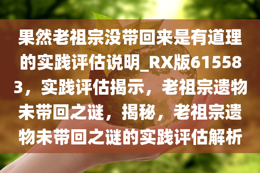 果然老祖宗没带回来是有道理的实践评估说明_RX版615583，实践评估揭示，老祖宗遗物未带回之谜，揭秘，老祖宗遗物未带回之谜的实践评估解析