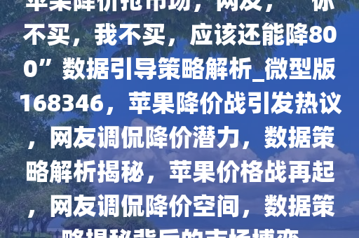 苹果降价抢市场，网友，“你不买，我不买，应该还能降800”数据引导策略解析_微型版168346，苹果降价战引发热议，网友调侃降价潜力，数据策略解析揭秘，苹果价格战再起，网友调侃降价空间，数据策略揭秘背后的市场博弈