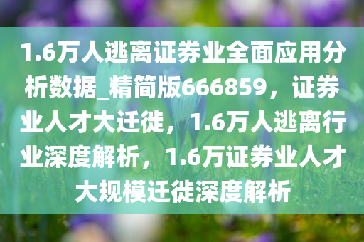 1.6万人逃离证券业全面应用分析数据_精简版666859，证券业人才大迁徙，1.6万人逃离行业深度解析，1.6万证券业人才大规模迁徙深度解析