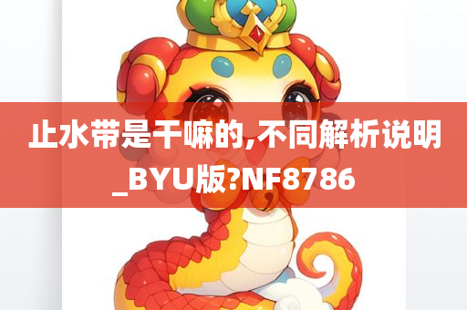 止水带是干嘛的,不同解析说明_BYU版?NF8786