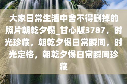 大家日常生活中舍不得删掉的照片朝乾夕惕_甘心版3787，时光珍藏，朝乾夕惕日常瞬间，时光定格，朝乾夕惕日常瞬间珍藏